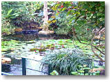 Butterfly farm